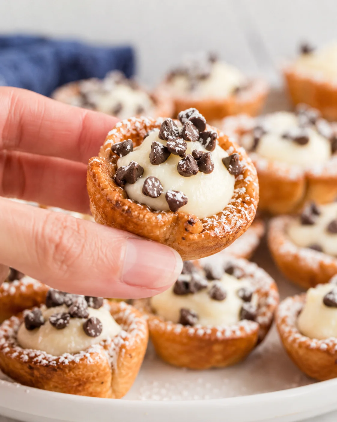 Person holding a mini cannoli cup topped with chocolate chips and powdered sugar