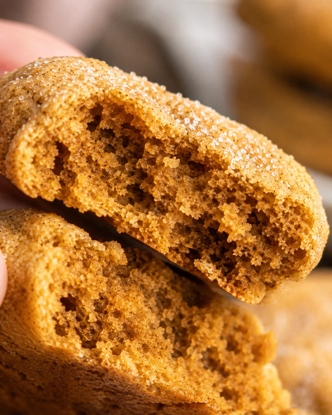 Close-up of a chewy pumpkin cookie with a spiced sugar topping