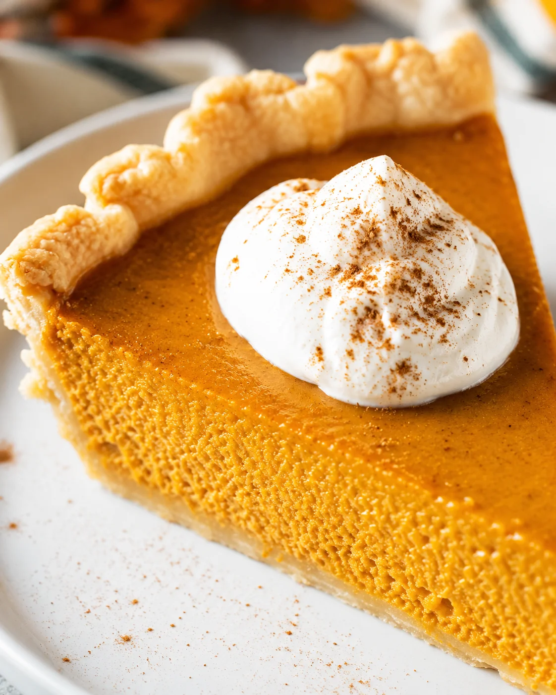 Close-up of a slice of pumpkin pie topped with whipped cream and cinnamon.