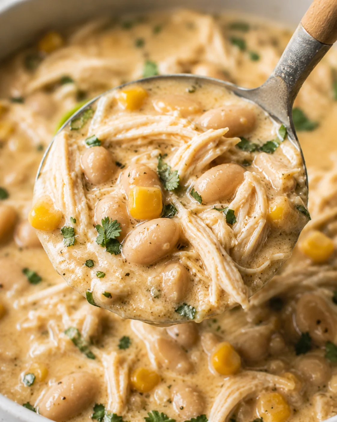 Close-up of a bowl of creamy white chicken chili with beans and herbs.