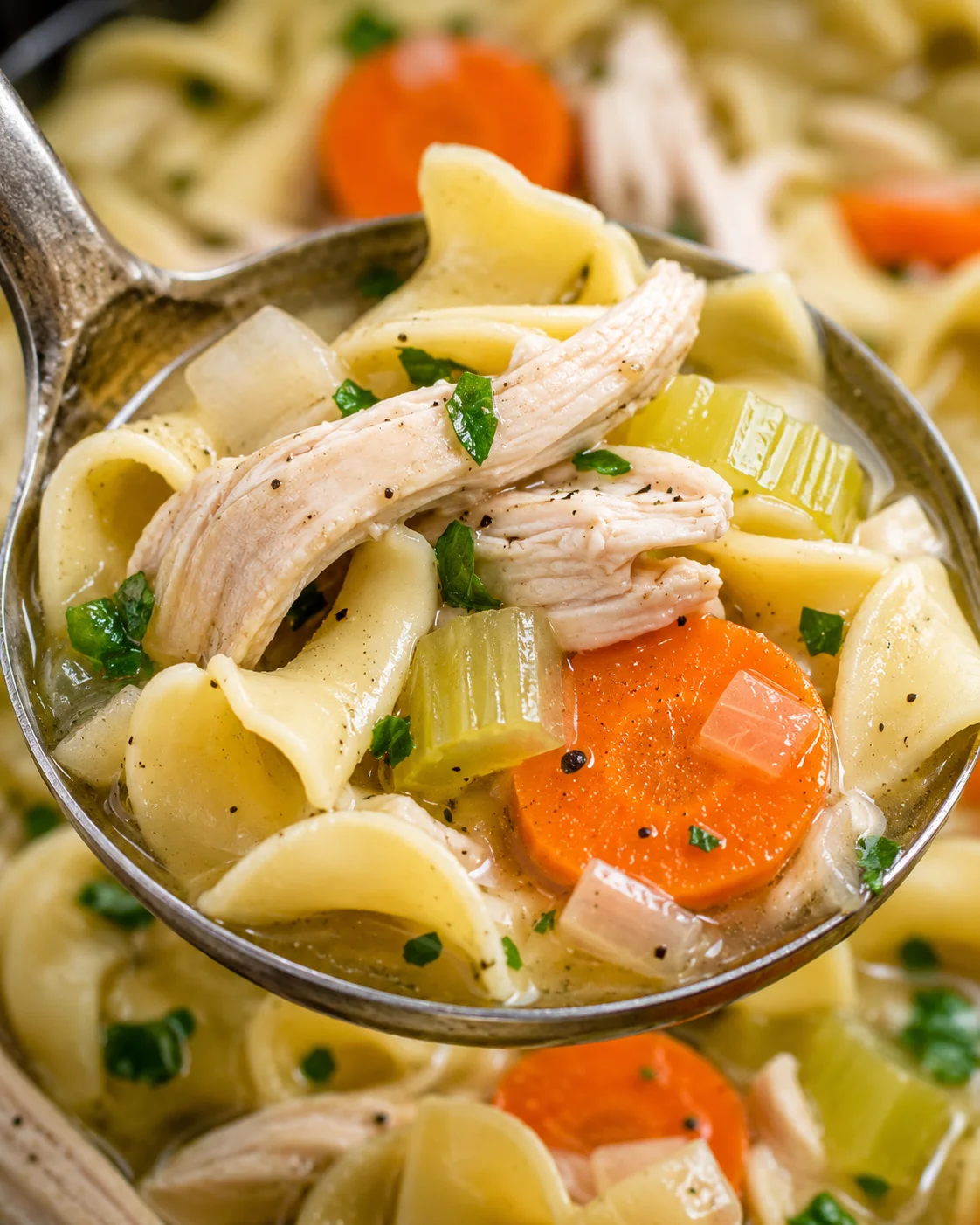 Close-up of hearty chicken noodle soup with vegetables and herbs in a bowl.