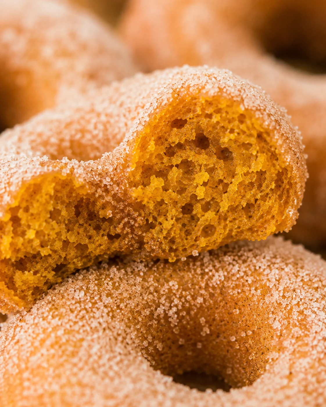 Close-up of fluffy baked pumpkin donuts coated in cinnamon sugar