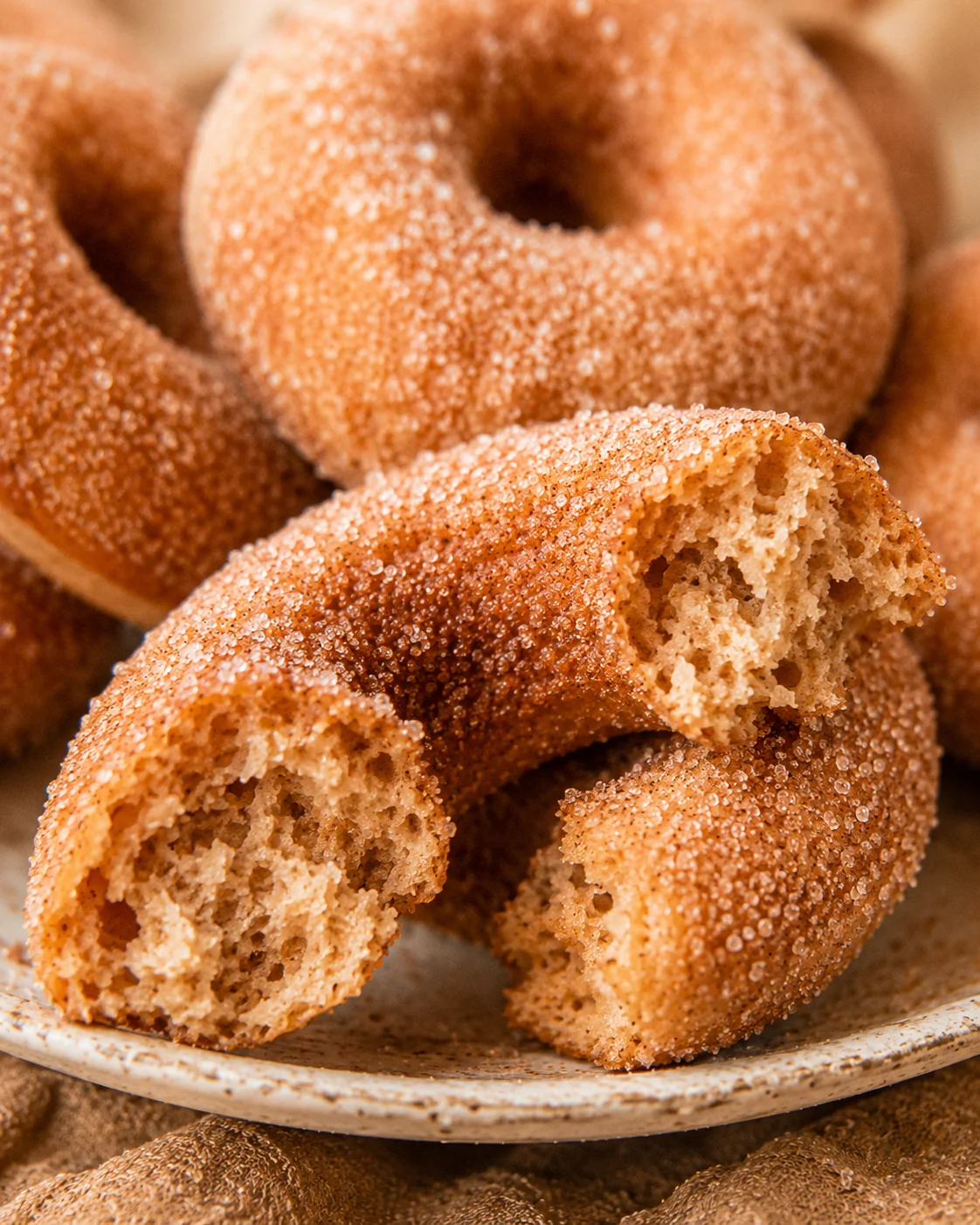 Close-up of soft, cinnamon sugar coated baked apple cider donuts on a plate.