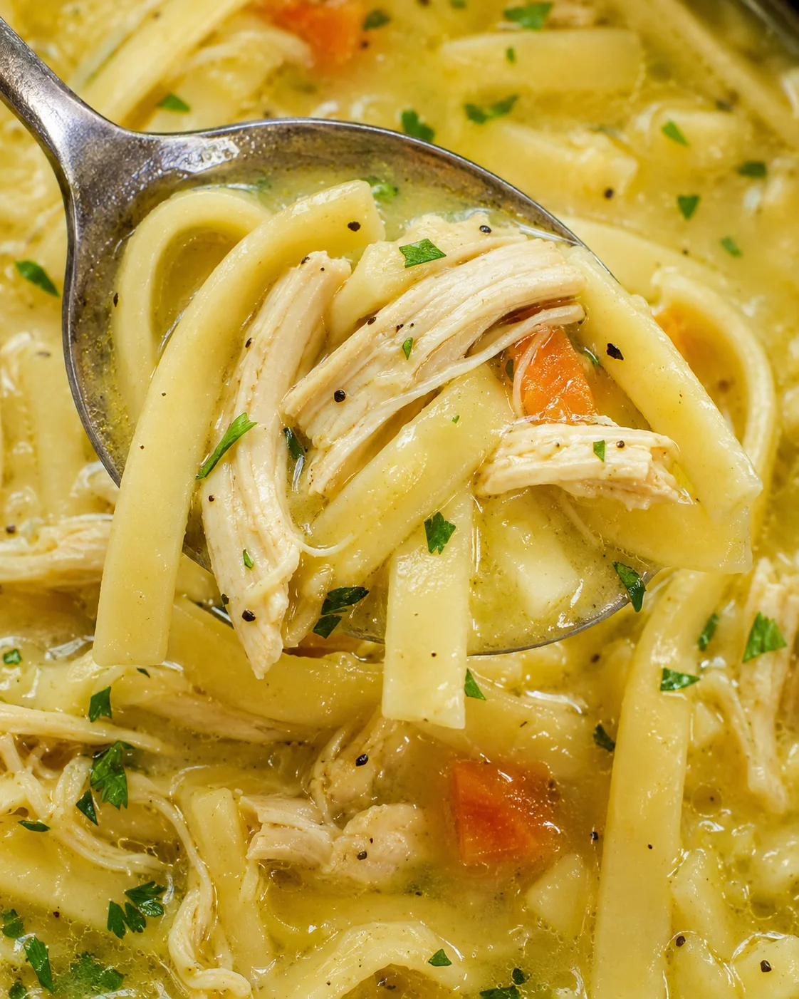 Close-up of hearty chicken noodle soup with shredded chicken and herbs