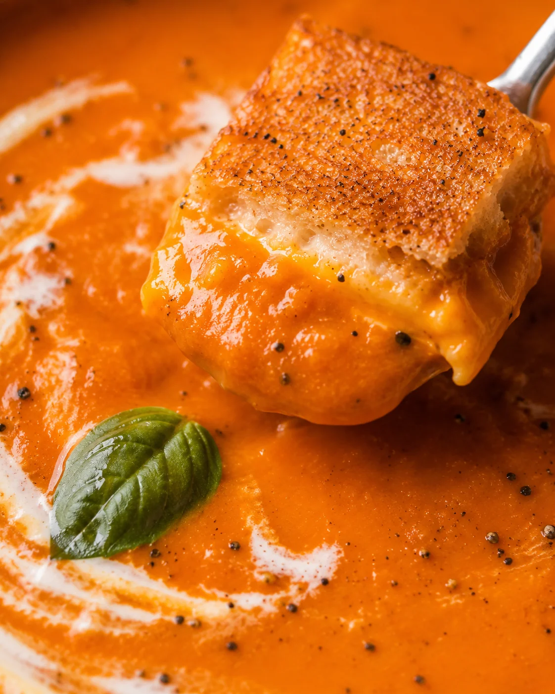 Close-up of a spoonful of creamy tomato soup with basil leaf garnish.