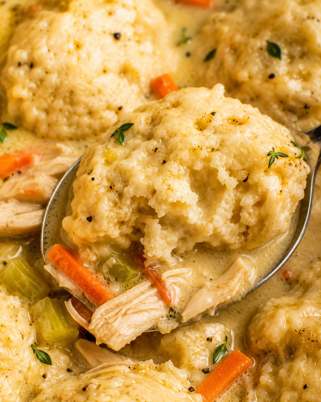 Close-up of creamy chicken stew with fluffy homemade dumplings and vegetables