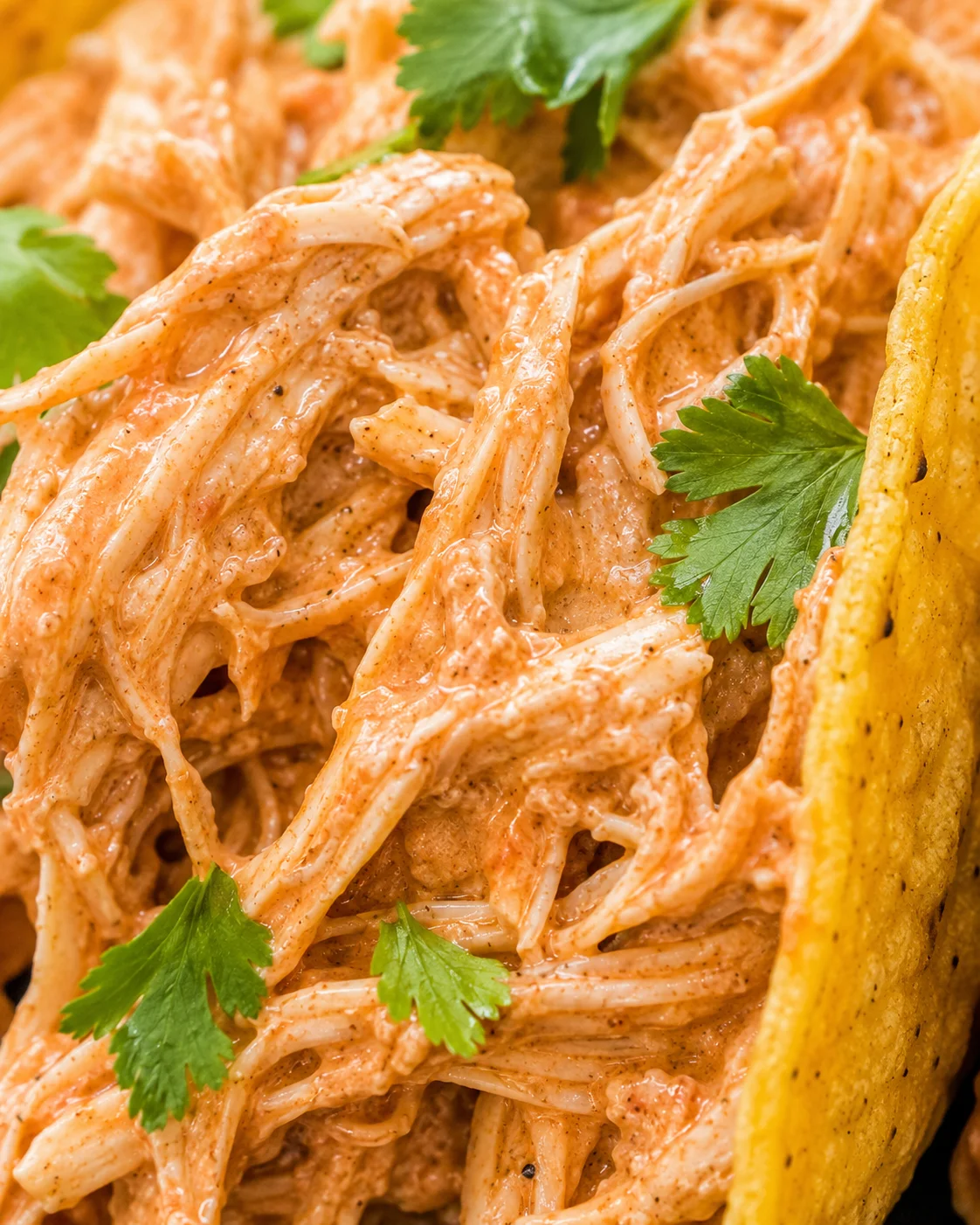 Close-up of shredded salsa chicken garnished with cilantro in a yellow bowl.