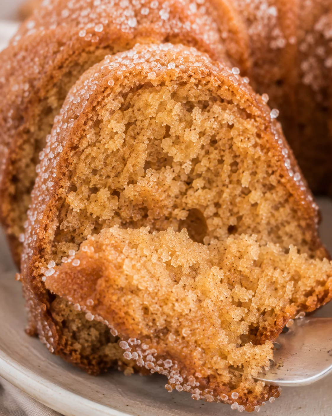 Close-up of a spoonful showing the moist crumb of the apple cider donut bundt cake